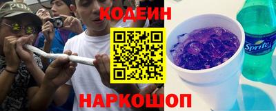 мдпв Камень-на-Оби