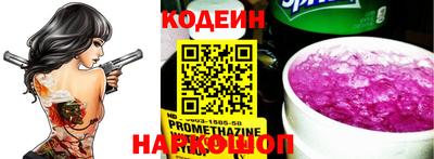 мдпв Камень-на-Оби