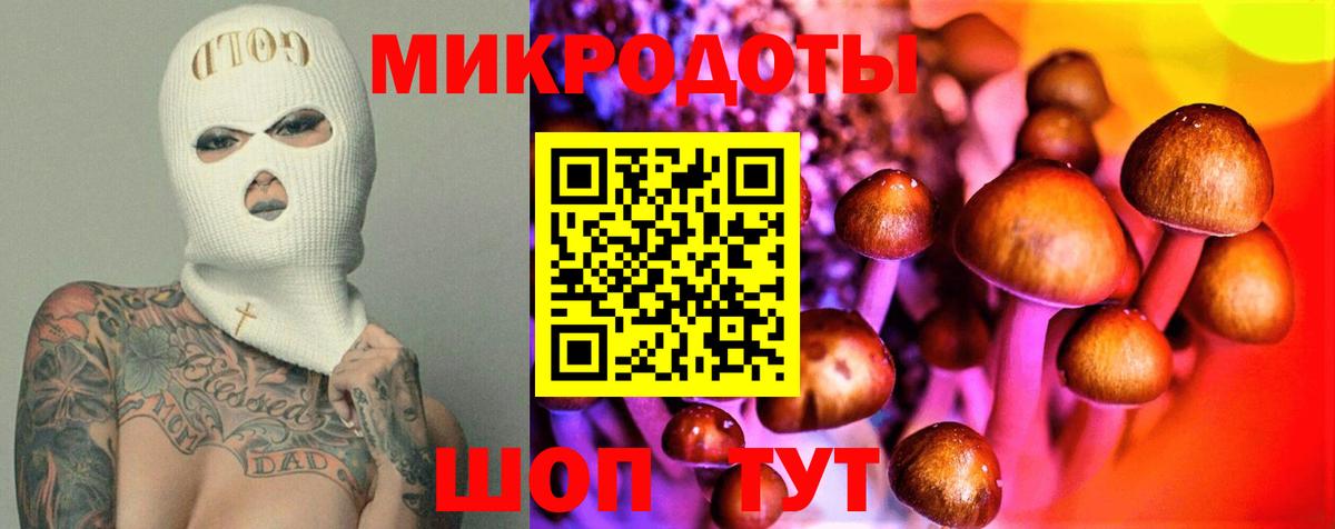 Псилоцибиновые грибы MAGIC MUSHROOMS  Вход с VPN  Галлюциногенные грибы Psilocybe  Асино 